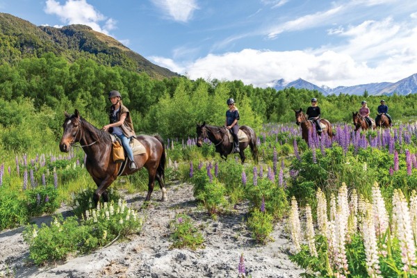 Dart River Adventure horse riding guided tours