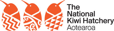 national kiwi hatchery aotearoa
